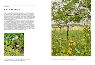 Sample content 5_Gardenista: The Low-Impact Garden