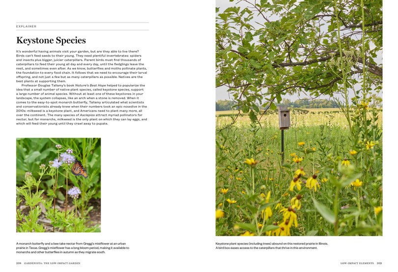 Sample content 5_Gardenista: The Low-Impact Garden