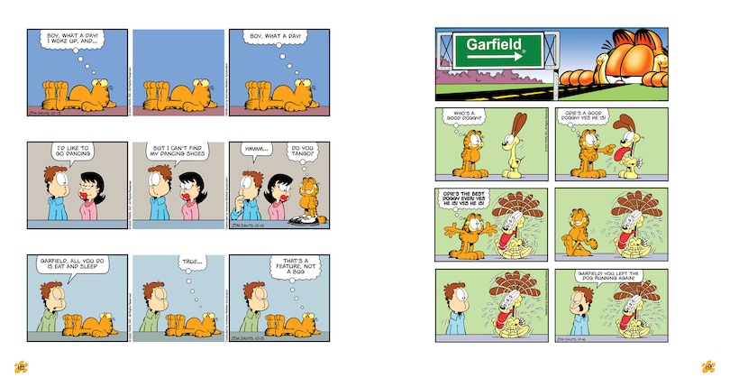 Sample content 2_Garfield Bacon Me Drool