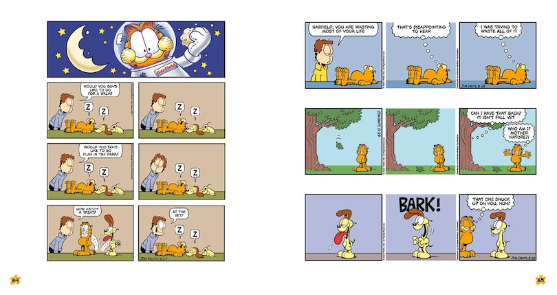 Sample content_Garfield Crash Diet