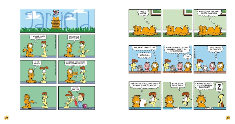 Sample content 5_Garfield Crash Diet