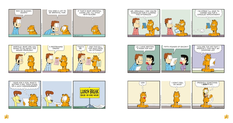 Sample content 2_Garfield Fat Cat 3-Pack #25