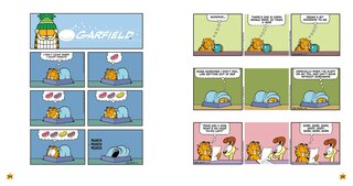 Sample content 4_Garfield Half-Baked