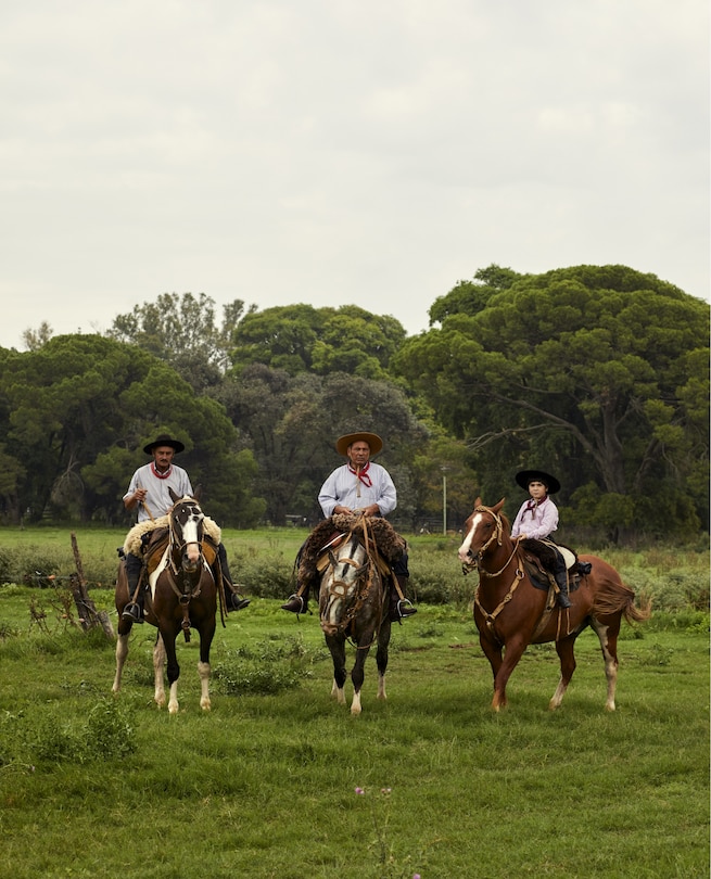 Sample content 4_Gaucho