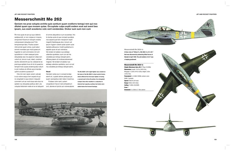 Sample content_German Fighter Aircraft of World War II