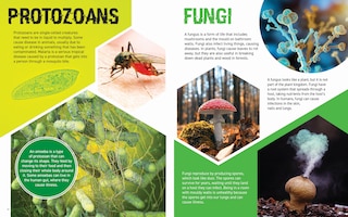 Sample content 2_Germs Make Us Sick