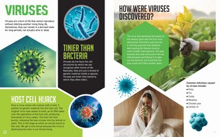 Sample content 3_Germs Make Us Sick