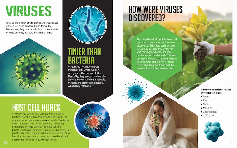 Sample content 3_Germs Make Us Sick