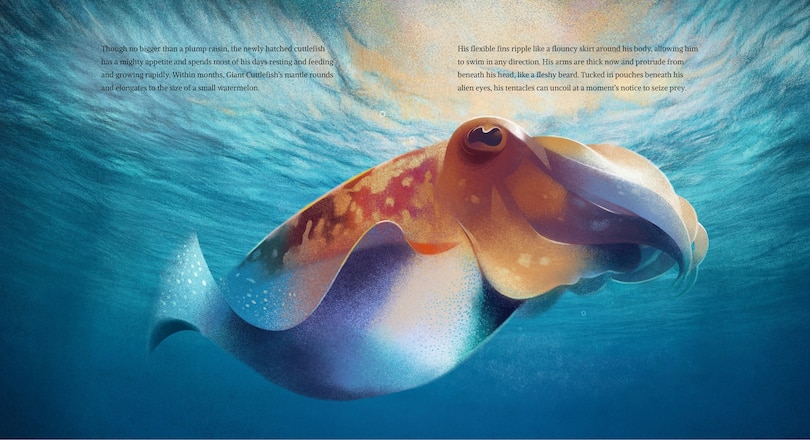 Aperçu du contenu_Giant Cuttlefish: Chameleon of the Sea