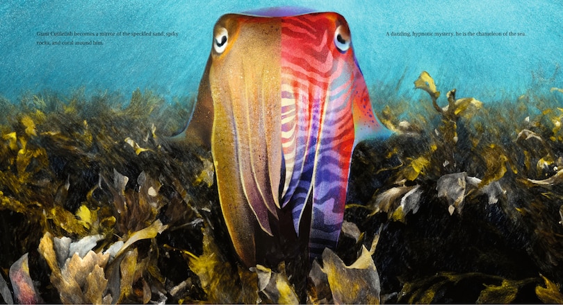 Aperçu du contenu 2_Giant Cuttlefish: Chameleon of the Sea