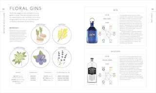 Aper&ccedil;u du contenu_Gin A Tasting Course