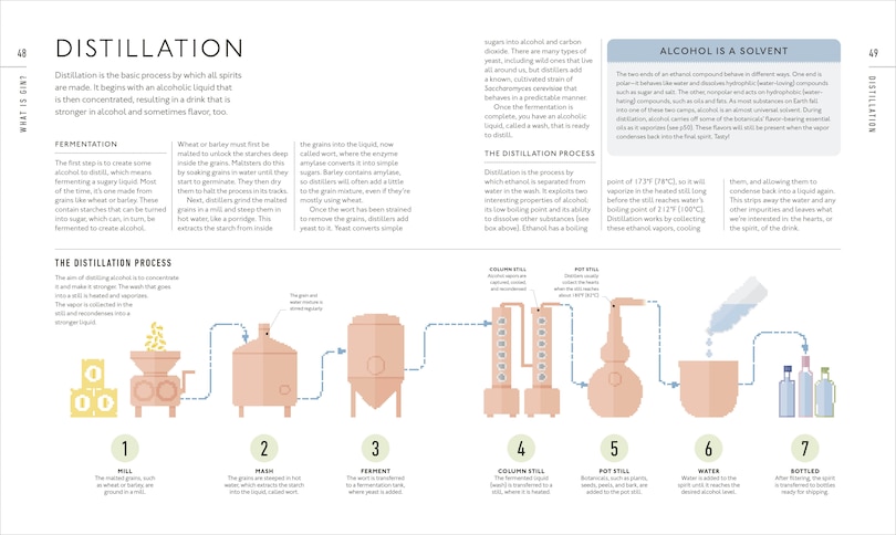 Aper&ccedil;u du contenu 3_Gin A Tasting Course