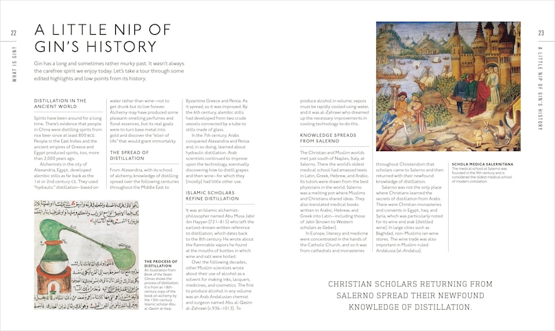 Aper&ccedil;u du contenu 4_Gin A Tasting Course