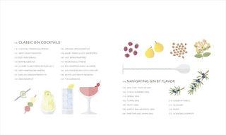 Aper&ccedil;u du contenu 5_Gin A Tasting Course