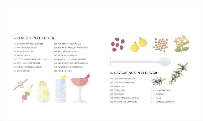 Aper&ccedil;u du contenu 5_Gin A Tasting Course