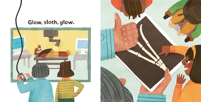 Sample content 5_Go, Sloth, Go!