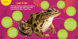 Sample content 2_Go Wild! Frogs