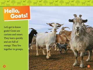 Aperçu du contenu_Goats (National Geographic Kids Readers, Level 1)