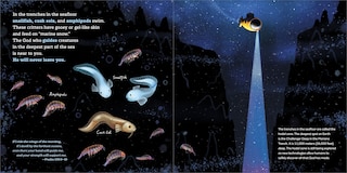 Sample content 3_God's Little Oceanographer
