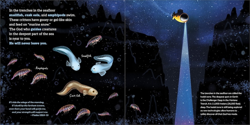 Sample content 3_God's Little Oceanographer