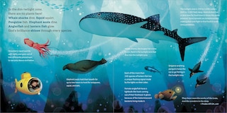 Sample content 4_God's Little Oceanographer