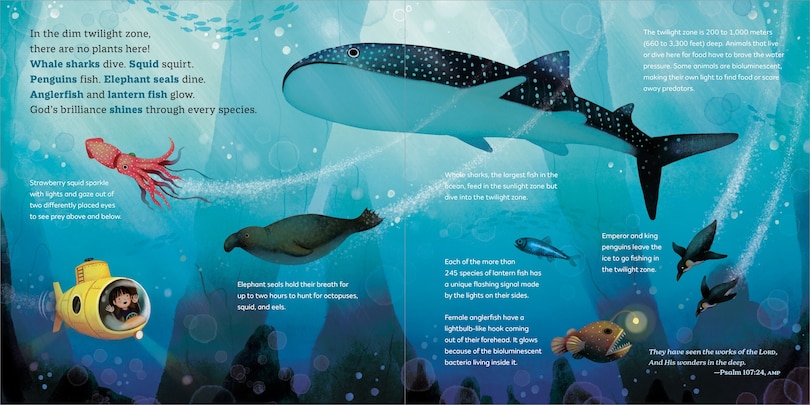 Sample content 4_God's Little Oceanographer