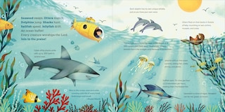 Sample content 5_God's Little Oceanographer