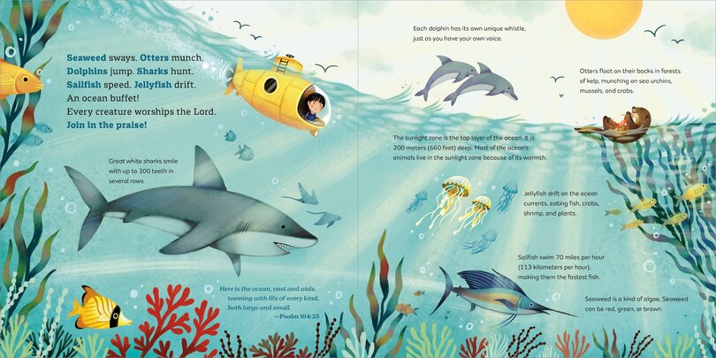 Sample content 5_God's Little Oceanographer