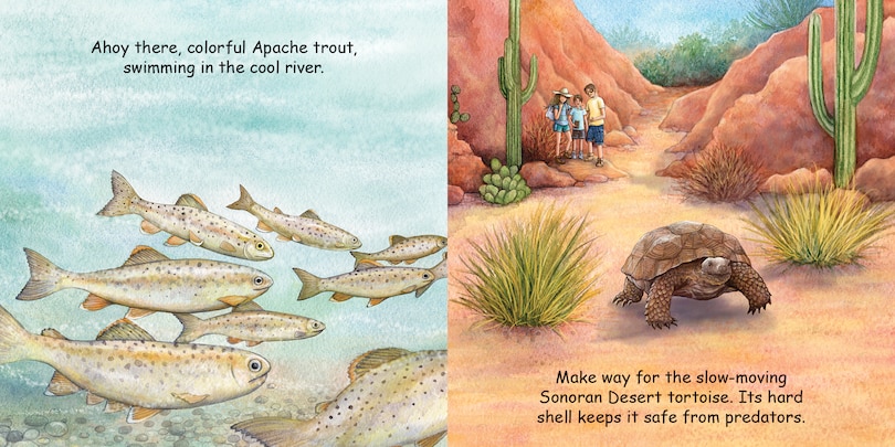 Aper&ccedil;u du contenu 2_Good Night Arizona Animals