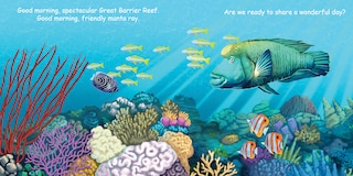 Sample content_Good Night Great Barrier Reef
