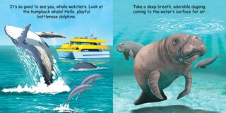 Sample content 3_Good Night Great Barrier Reef