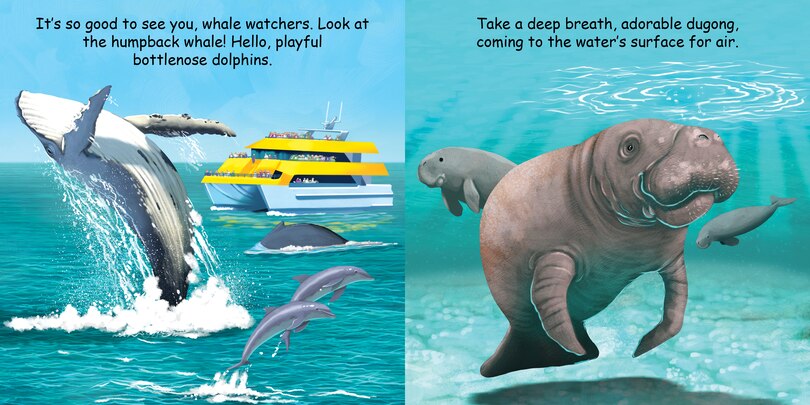 Sample content 3_Good Night Great Barrier Reef