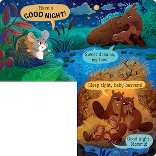 Sample content 3_Good Night in the Forest