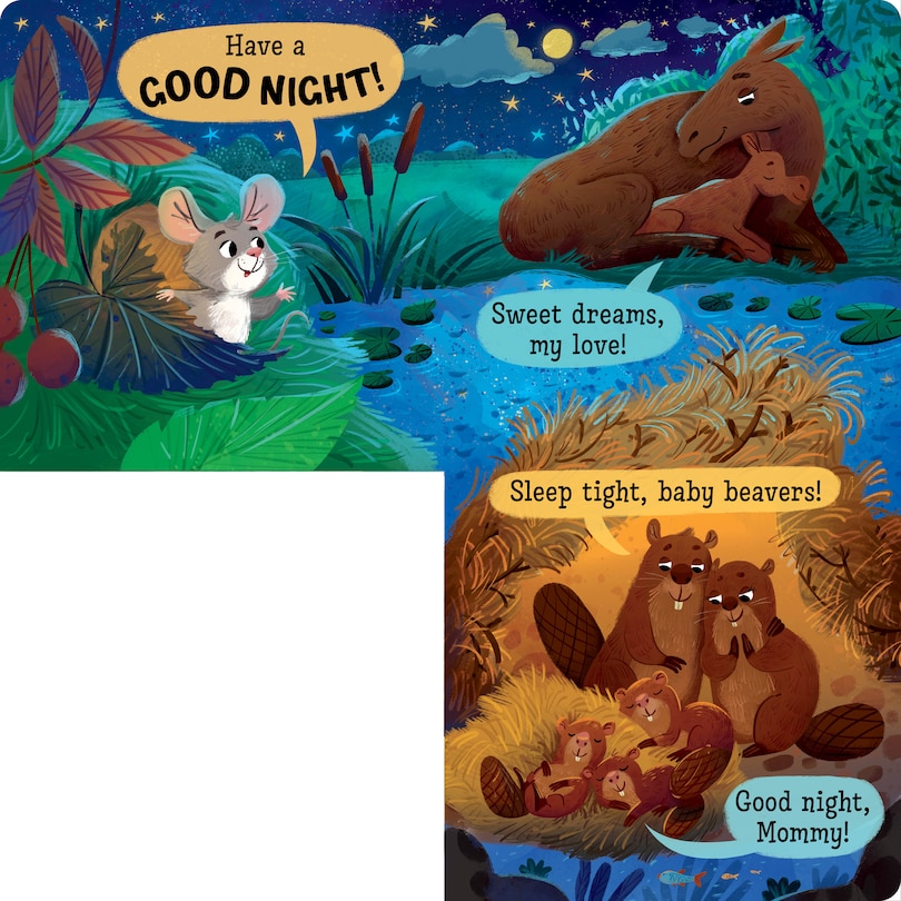 Sample content 3_Good Night in the Forest