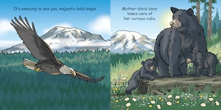 Sample content 2_Good Night Mount Rainier