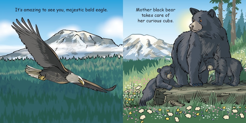 Sample content 2_Good Night Mount Rainier