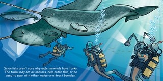 Sample content 3_Good Night Narwhals