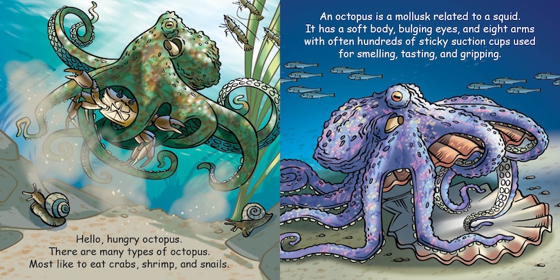 Sample content_Good Night Octopus