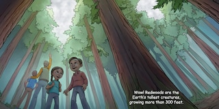 Aperçu du contenu 2_Good Night Redwoods