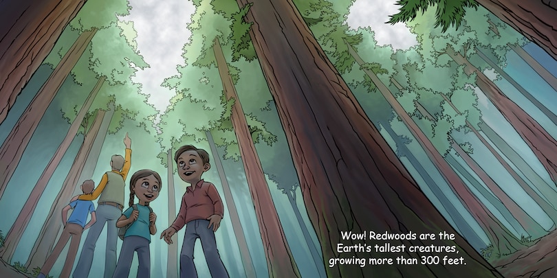 Aperçu du contenu 2_Good Night Redwoods