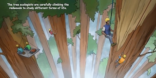 Aperçu du contenu 3_Good Night Redwoods