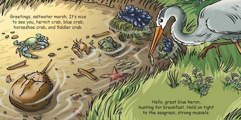 Aperçu du contenu 2_Good Night Seashore