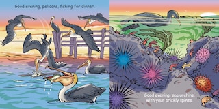 Aperçu du contenu 3_Good Night Seashore