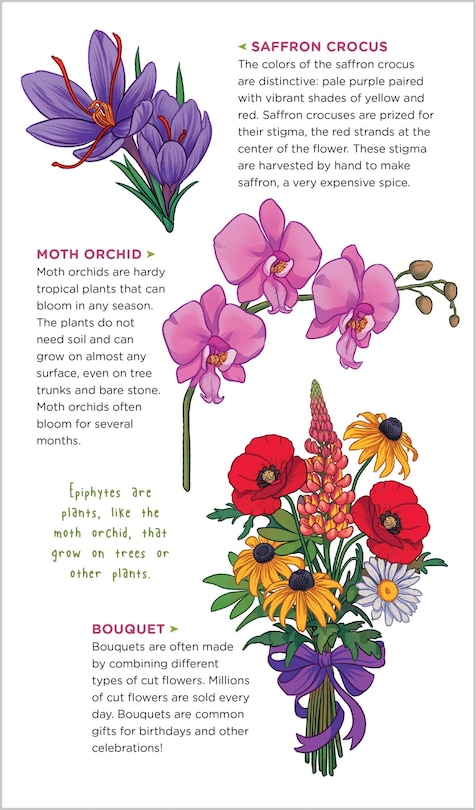 Sample content 3_Gorgeous Garden of Tattoo Flowers