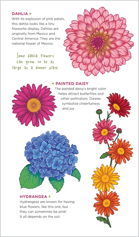 Sample content 4_Gorgeous Garden of Tattoo Flowers