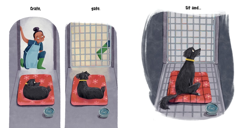 Sample content 5_Gotcha Day