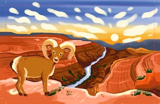 Aper&ccedil;u du contenu_Grand Canyon National Park