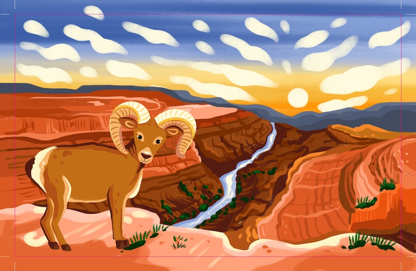 Aper&ccedil;u du contenu_Grand Canyon National Park