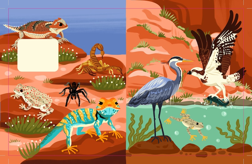 Aper&ccedil;u du contenu 4_Grand Canyon National Park