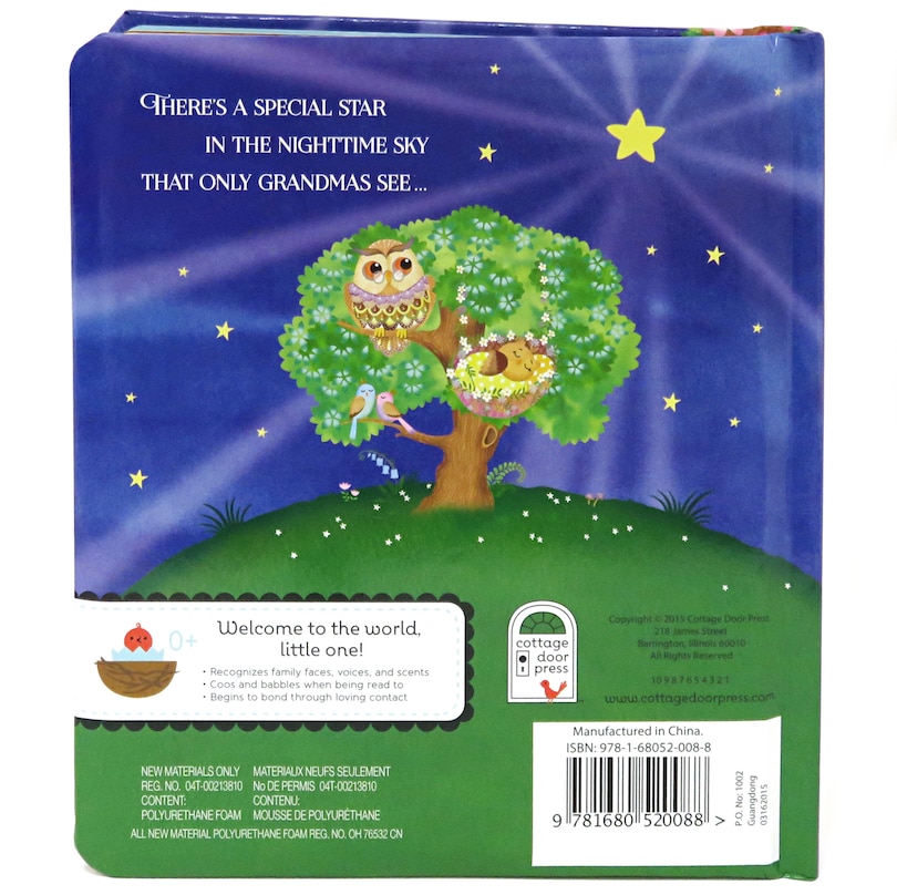 Couverture arri&egrave;re_Grandma Wishes